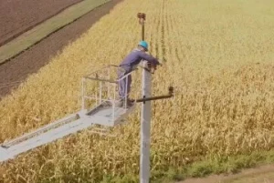 Графіки відключення світла у Кіровоградській області на тиждень з 24 по 30 серпня